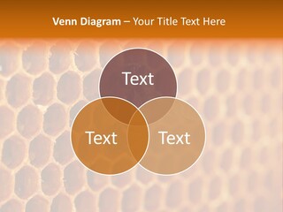 Two Bees On A Honeycomb Powerpoint Template PowerPoint Template