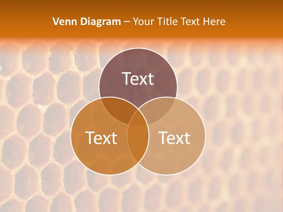 Two Bees On A Honeycomb Powerpoint Template PowerPoint Template