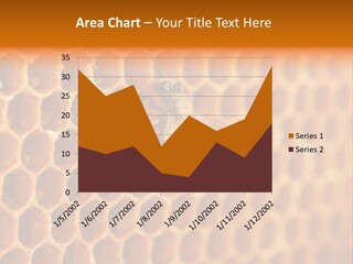 Two Bees On A Honeycomb Powerpoint Template PowerPoint Template