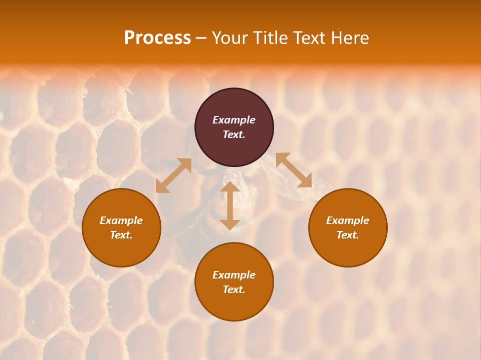 Two Bees On A Honeycomb Powerpoint Template PowerPoint Template