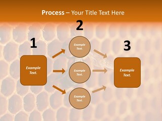 Two Bees On A Honeycomb Powerpoint Template PowerPoint Template