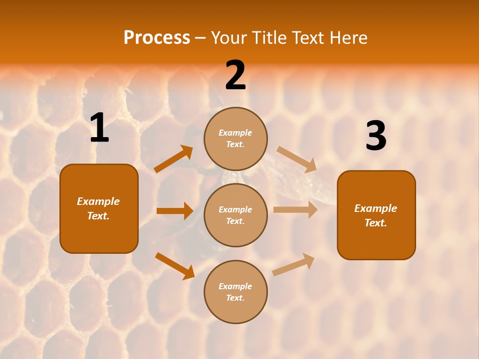 Two Bees On A Honeycomb Powerpoint Template PowerPoint Template
