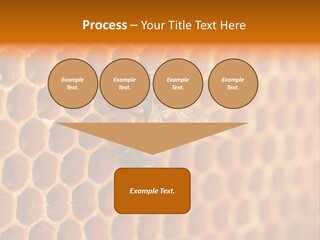 Two Bees On A Honeycomb Powerpoint Template PowerPoint Template