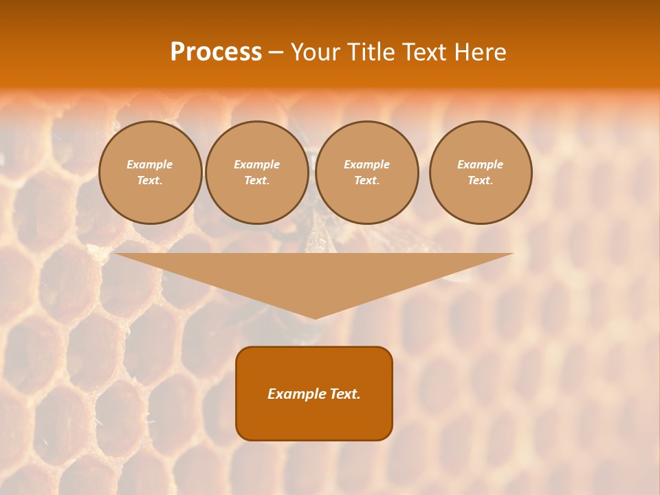 Two Bees On A Honeycomb Powerpoint Template PowerPoint Template