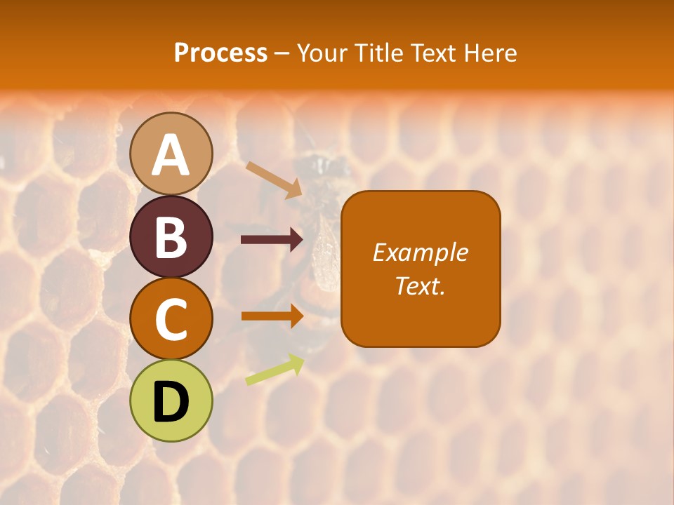 Two Bees On A Honeycomb Powerpoint Template PowerPoint Template