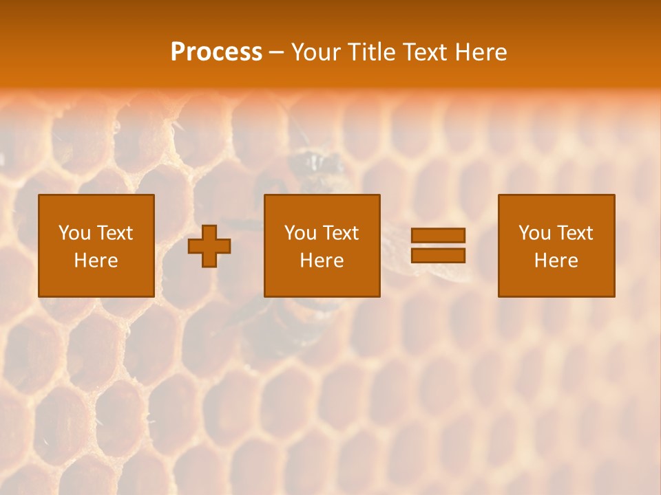 Two Bees On A Honeycomb Powerpoint Template PowerPoint Template