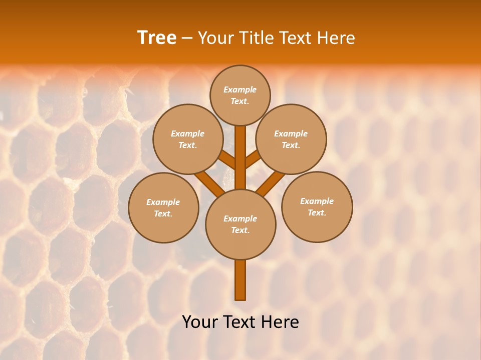 Two Bees On A Honeycomb Powerpoint Template PowerPoint Template