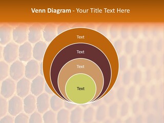 Two Bees On A Honeycomb Powerpoint Template PowerPoint Template