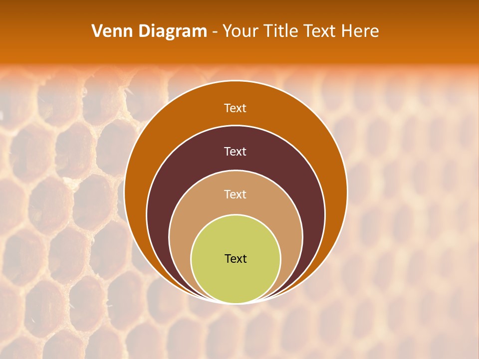 Two Bees On A Honeycomb Powerpoint Template PowerPoint Template