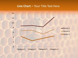 Two Bees On A Honeycomb Powerpoint Template PowerPoint Template
