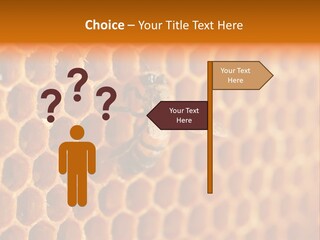 Two Bees On A Honeycomb Powerpoint Template PowerPoint Template