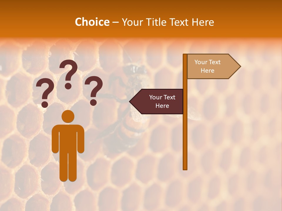 Two Bees On A Honeycomb Powerpoint Template PowerPoint Template