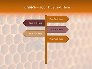 Two Bees On A Honeycomb Powerpoint Template PowerPoint Template