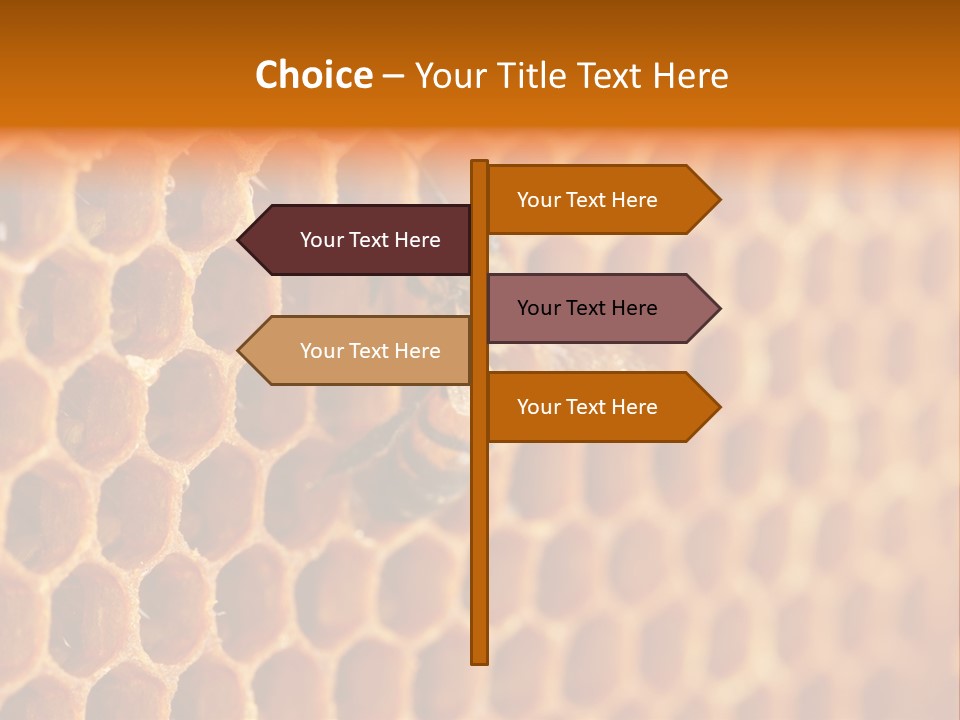 Two Bees On A Honeycomb Powerpoint Template PowerPoint Template