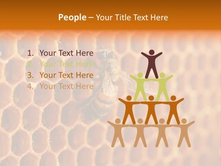 Two Bees On A Honeycomb Powerpoint Template PowerPoint Template