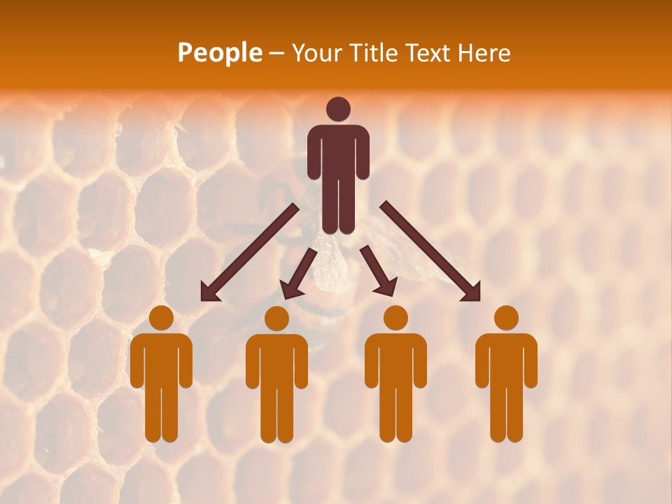 Two Bees On A Honeycomb Powerpoint Template PowerPoint Template