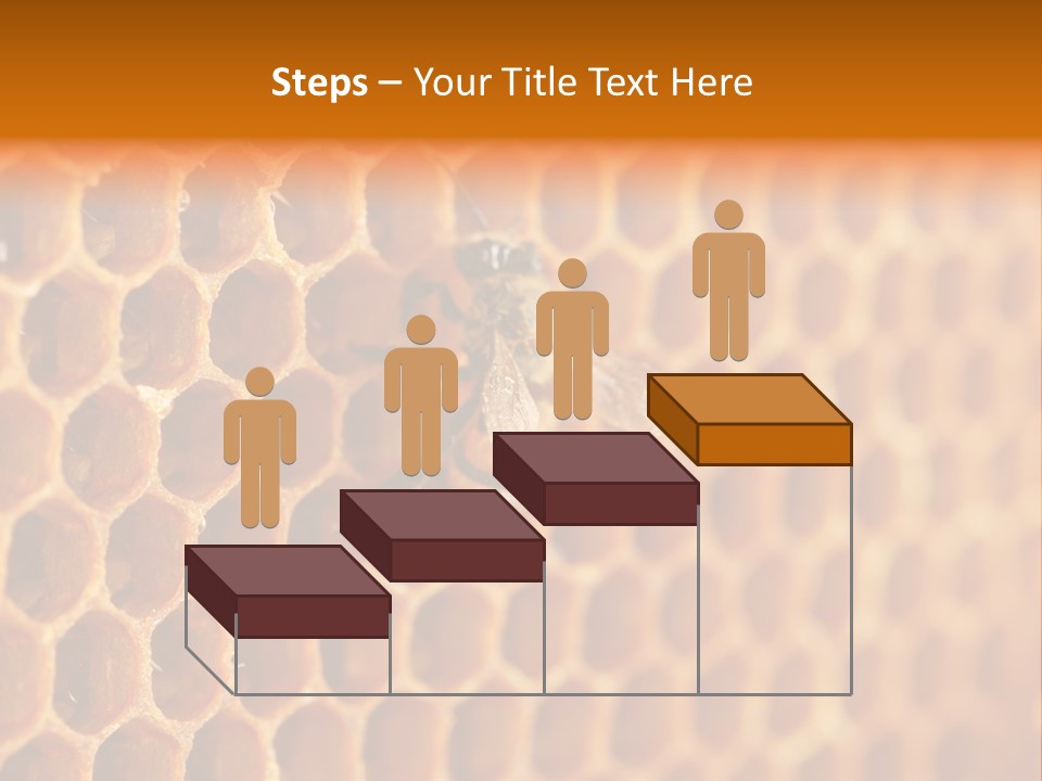 Two Bees On A Honeycomb Powerpoint Template PowerPoint Template