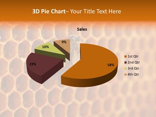 Two Bees On A Honeycomb Powerpoint Template PowerPoint Template