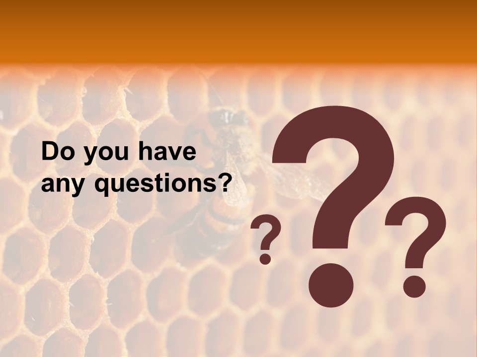 Two Bees On A Honeycomb Powerpoint Template PowerPoint Template