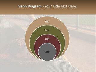 A Baseball Bat And A Baseball In A Catchers Mitt PowerPoint Template