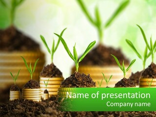 A Group Of Coins With Plants Growing Out Of Them PowerPoint Template