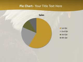 A Bald Eagle Sitting On Top Of A Tree Branch PowerPoint Template