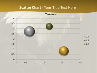A Bald Eagle Sitting On Top Of A Tree Branch PowerPoint Template