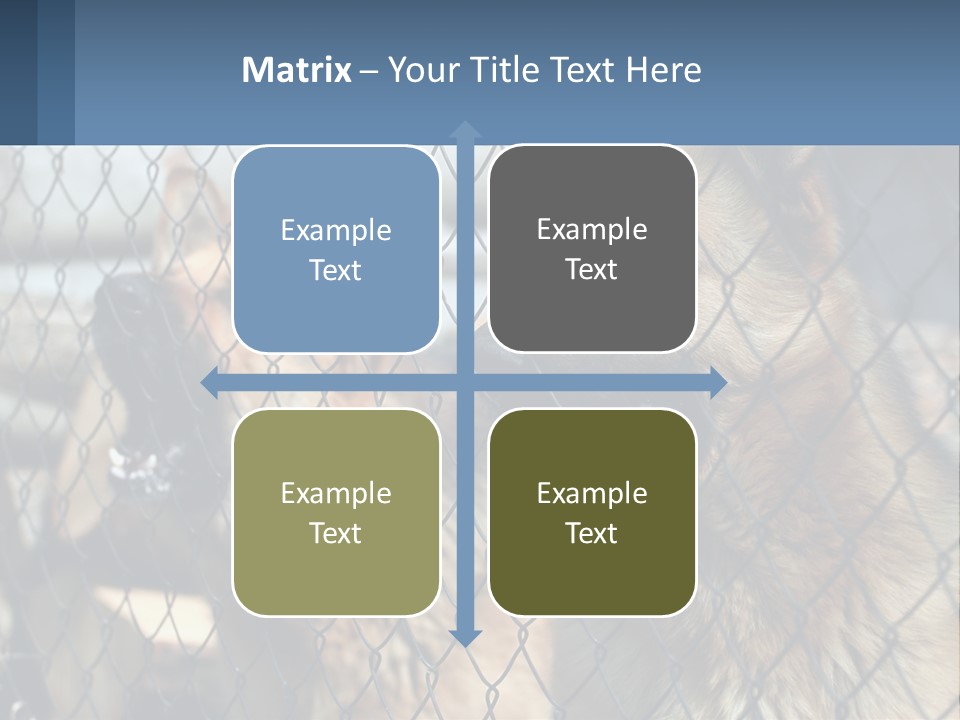 A Group Of Dogs Behind A Chain Link Fence PowerPoint Template