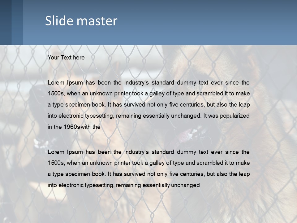 A Group Of Dogs Behind A Chain Link Fence PowerPoint Template