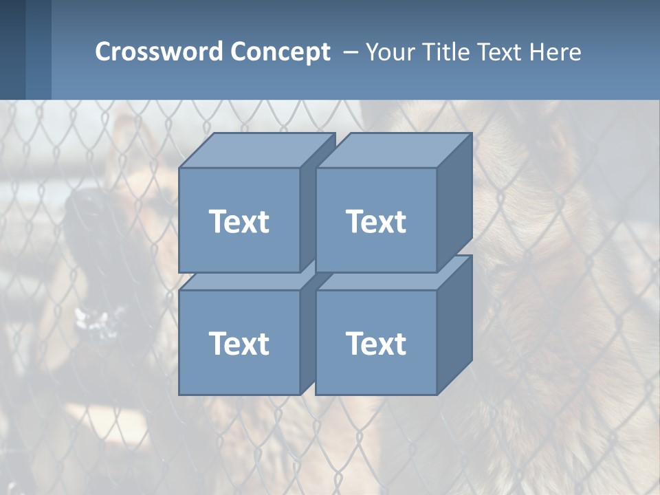 A Group Of Dogs Behind A Chain Link Fence PowerPoint Template