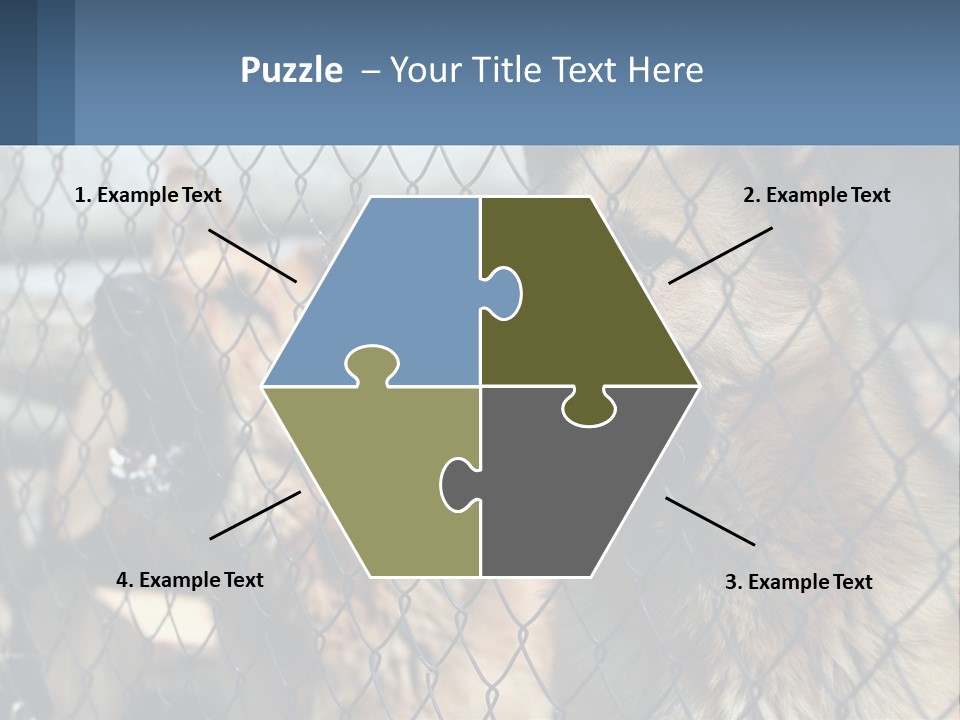 A Group Of Dogs Behind A Chain Link Fence PowerPoint Template