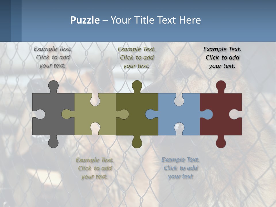 A Group Of Dogs Behind A Chain Link Fence PowerPoint Template