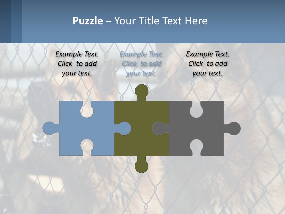 A Group Of Dogs Behind A Chain Link Fence PowerPoint Template