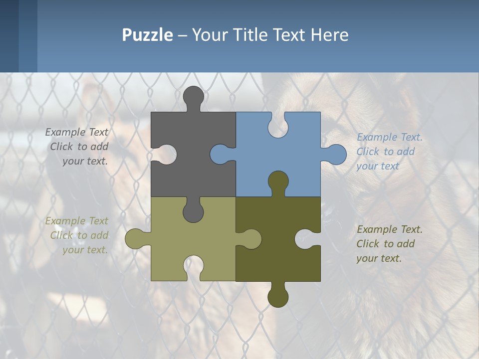 A Group Of Dogs Behind A Chain Link Fence PowerPoint Template