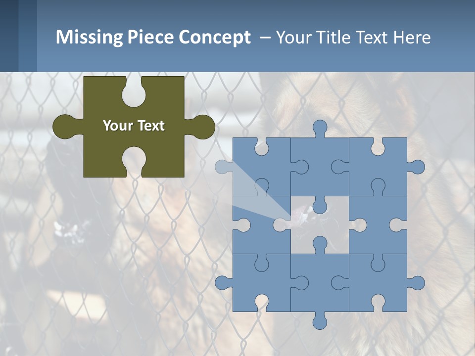 A Group Of Dogs Behind A Chain Link Fence PowerPoint Template