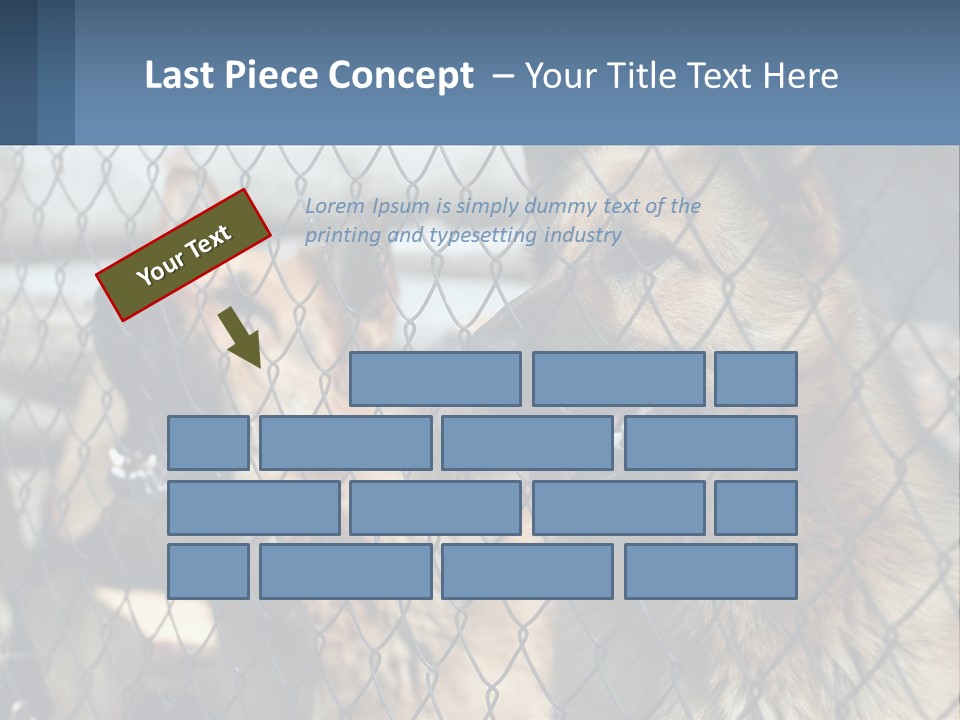 A Group Of Dogs Behind A Chain Link Fence PowerPoint Template
