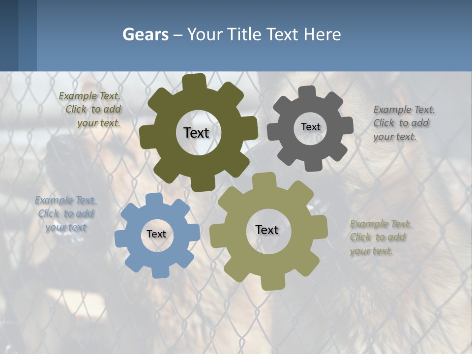 A Group Of Dogs Behind A Chain Link Fence PowerPoint Template