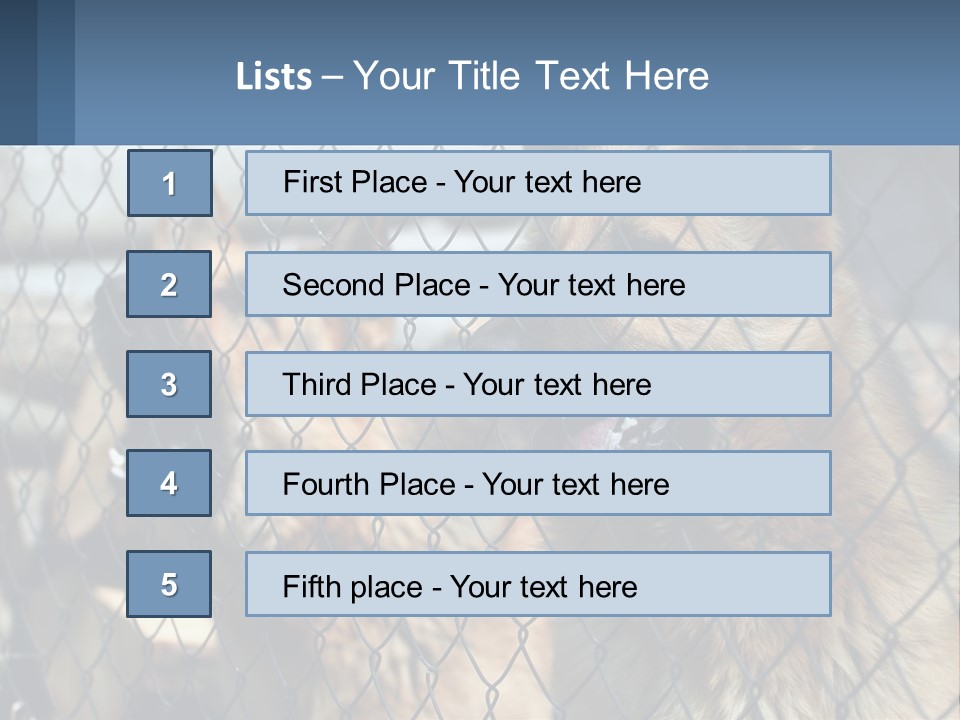 A Group Of Dogs Behind A Chain Link Fence PowerPoint Template