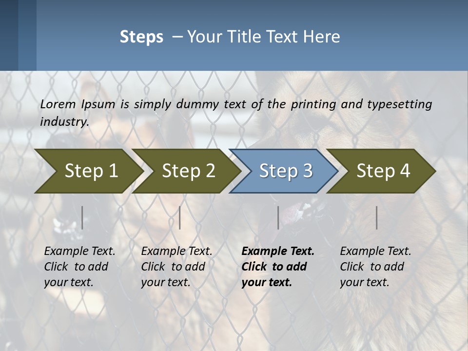 A Group Of Dogs Behind A Chain Link Fence PowerPoint Template