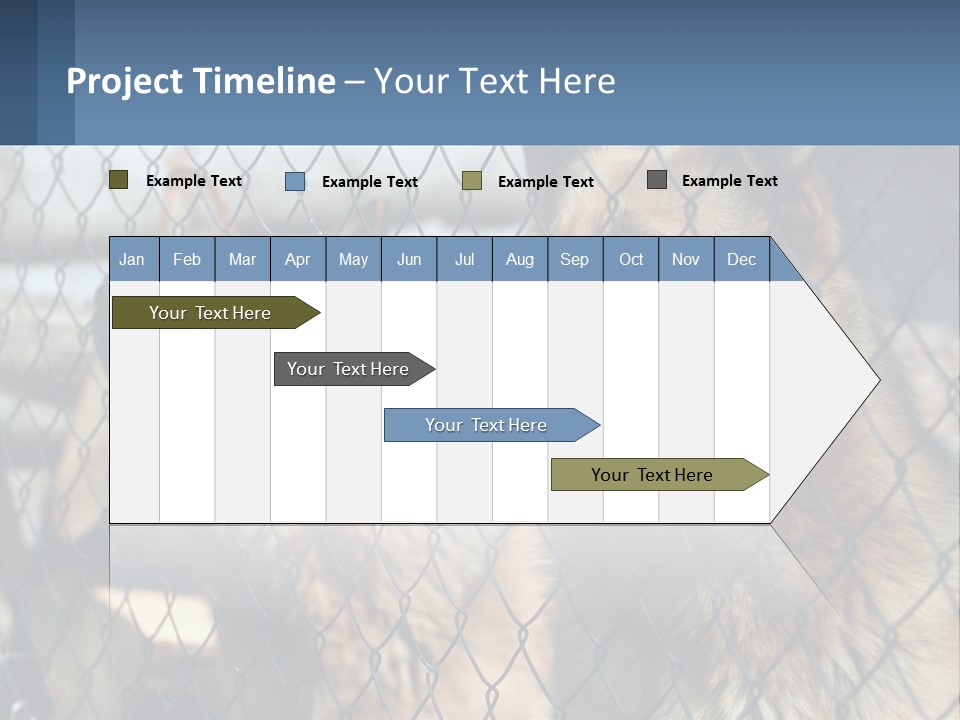 A Group Of Dogs Behind A Chain Link Fence PowerPoint Template