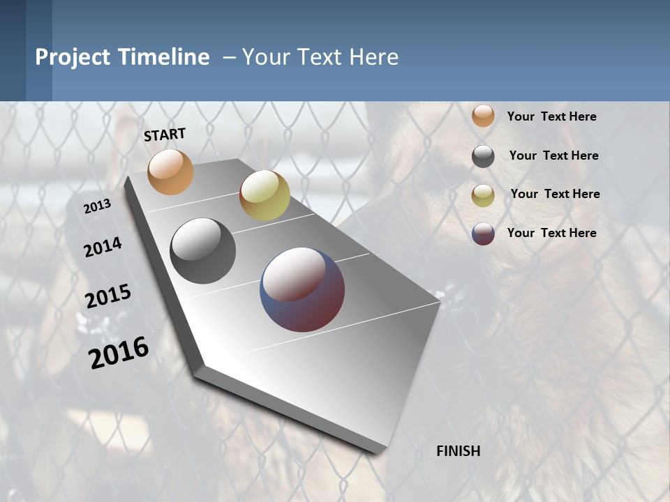 A Group Of Dogs Behind A Chain Link Fence PowerPoint Template