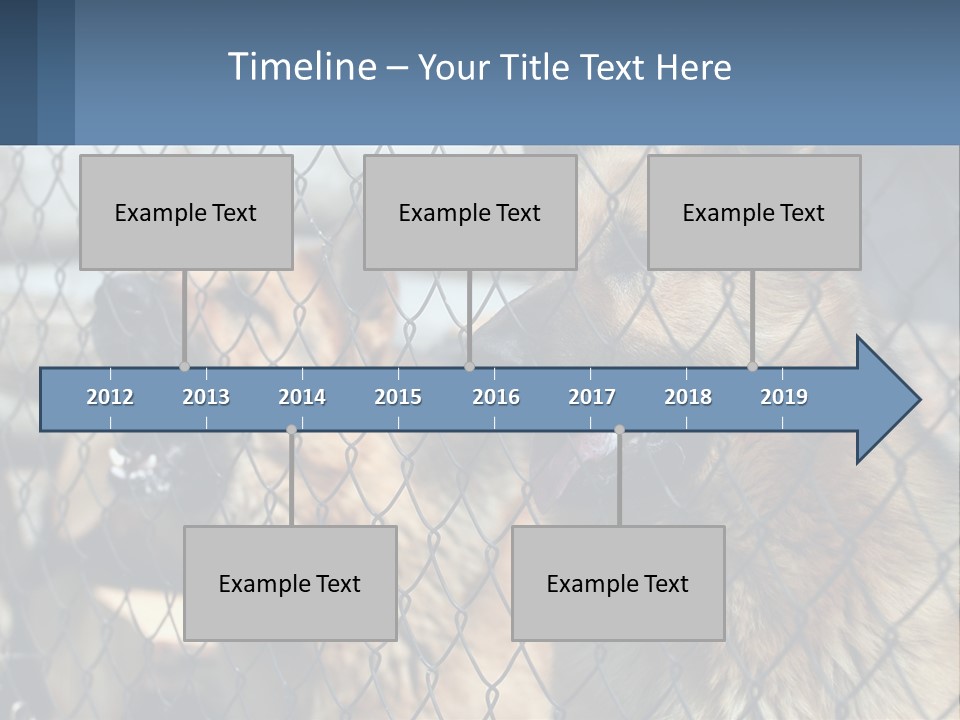 A Group Of Dogs Behind A Chain Link Fence PowerPoint Template