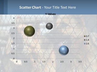 A Group Of Dogs Behind A Chain Link Fence PowerPoint Template