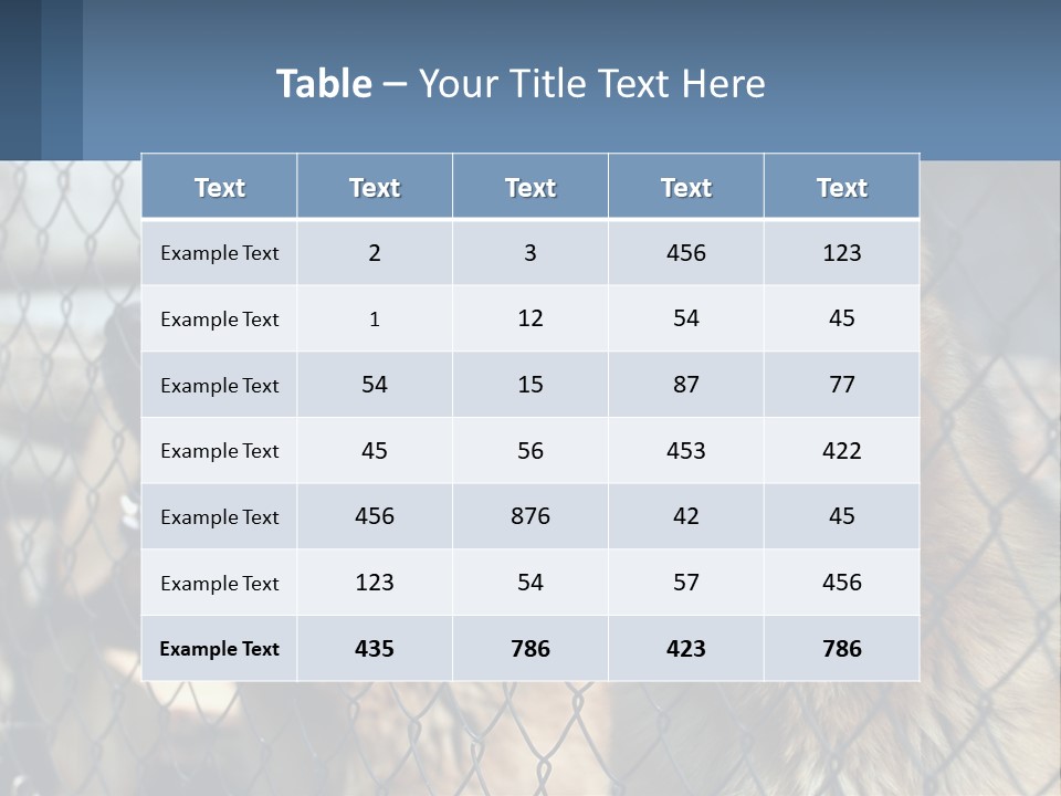 A Group Of Dogs Behind A Chain Link Fence PowerPoint Template