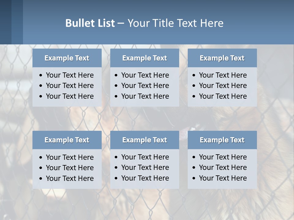 A Group Of Dogs Behind A Chain Link Fence PowerPoint Template