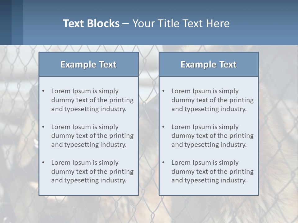 A Group Of Dogs Behind A Chain Link Fence PowerPoint Template