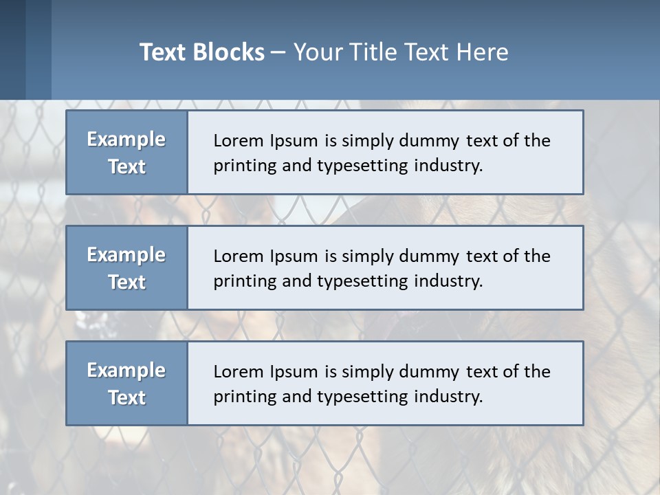 A Group Of Dogs Behind A Chain Link Fence PowerPoint Template