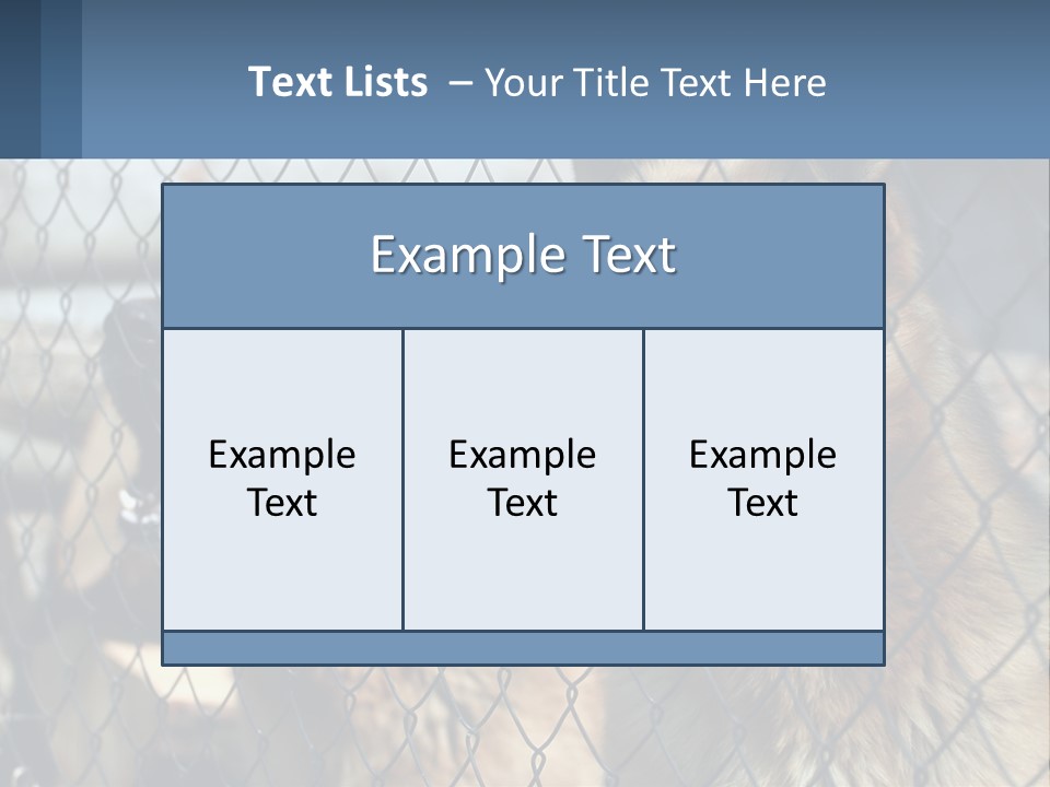 A Group Of Dogs Behind A Chain Link Fence PowerPoint Template