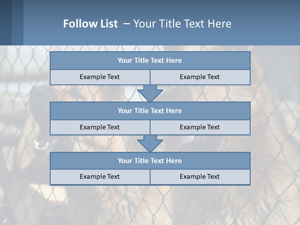A Group Of Dogs Behind A Chain Link Fence PowerPoint Template