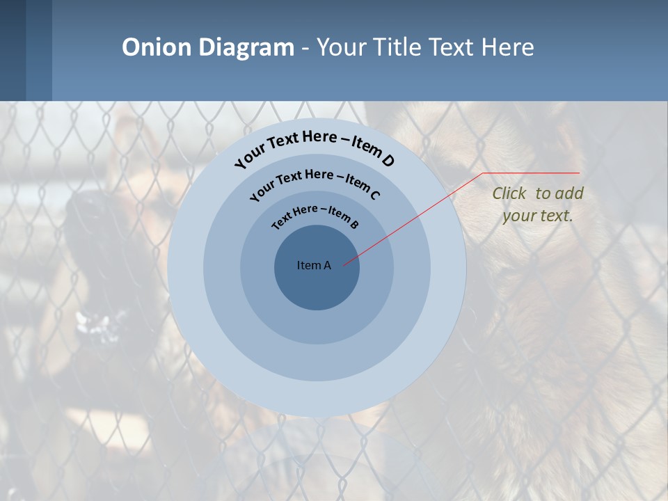 A Group Of Dogs Behind A Chain Link Fence PowerPoint Template